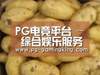 产品展示标题6