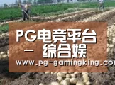 种植基地八