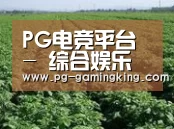 种植基地五