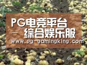种植基地八(图1)