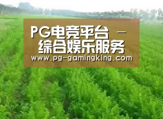 种植基地四