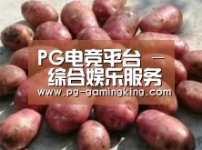 产品展示标题5(图1)