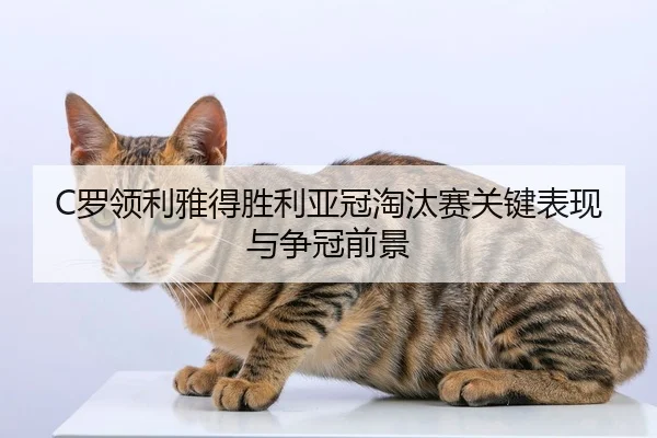 C罗领利雅得胜利亚冠淘汰赛关键表现与争冠前景