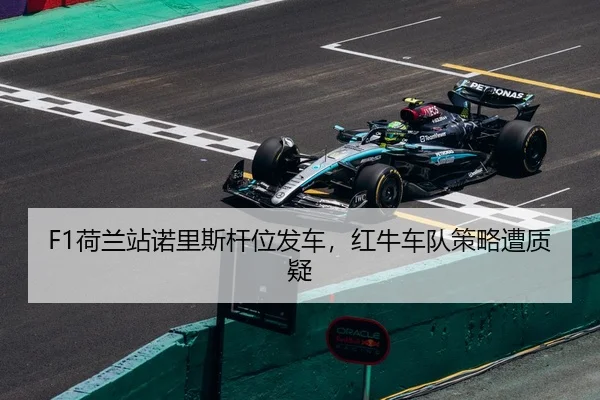 he-lan-zhan-nuo-li-si-gan-wei-fa-che-hong-niu-che-dui-ce-lve-zao-zhi-yi-2-973.jpg